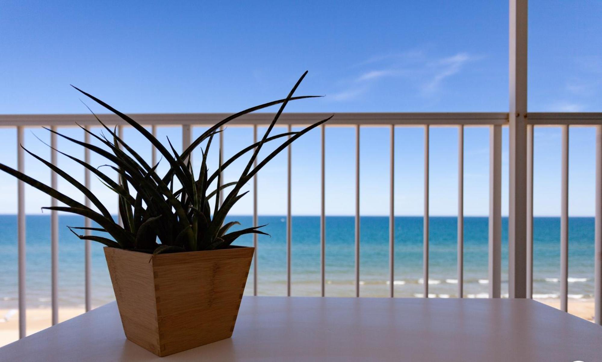 Apartamento Primera Linea De Playa Белрегуарт Екстериор снимка